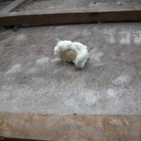 Pur dakisolatie Pur dakisolatie